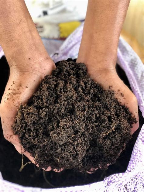 what is loam soil in tagalog